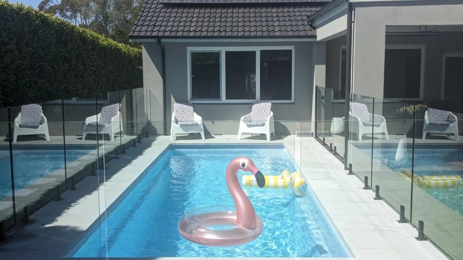 Modern backyard pool with glass fence and flamingo float